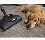 Miele Complete C1 Cat & Dog Canister Vacuum